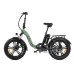 Bicicleta eléctrica Youin BK1611 FAT PORTO II