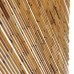 vidaXL Cortina de puerta antimosquitos para autocaravana 56x185 cm bambú