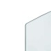 vidaXL Placa de vidrio para chimenea Transparente 120 x 50 cm Cristal