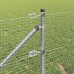 vidaXL Valla de alambre soldado con picos 50 x 0,4 m Acero Galvanizado