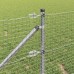 vidaXL Valla de alambre soldado con picos 100 x 0,6 m Plateado Malla