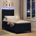 vidaXL Cama tipo Box Spring con tiras LED Negro 100 x 200 cm tela
