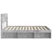 vidaXL Estructura de cama con almacenamiento y cabecero Gris Hormigón