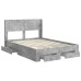 vidaXL Estructura de cama con almacenamiento y cabecero Gris Hormigón